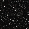 Transparent Colours Glass Seed Beads SEED-P006-02A-14-3