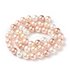 Shell Pearl Bead Strands BSHE-L017-11-2