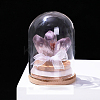 Natural Crystal Cluster Decorations LS-PW-WG60432-02-1