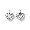 304 Stainless Steel Micro Pave Cubic Zirconia Pendants STAS-L022-396B-P-1