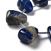 Natural Sodalite Beads Strands G-P528-E12-01-3
