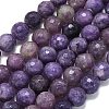 Natural Lepidolite/Purple Mica Beads Strands G-B165-A11-10mm-2