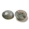 Natural Labradorite Cabochons G-C115-02A-26-2