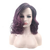 Fluffy Curly Ombre Ladies Wigs OHAR-L010-048-2