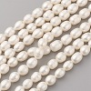 Natural Cultured Freshwater Pearl Beads Strands PEAR-G007-23-1