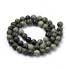 Natural Serpentine/Green Lace Stone Beads Strands G-S259-15-10mm-2