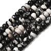 Natural Zebra Jasper Beads Strands G-A280-A22-02-2