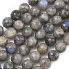 Natural Labradorite Beads Strands G-L642-F07-12mm-2