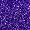 MIYUKI Delica Beads SEED-X0054-DB0610-3