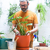 Iron Plant Trellis for Climbing Plants AJEW-DR0001-97-5