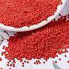 MIYUKI Round Rocailles Beads SEED-JP0010-RR0407-1