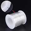  2 Rolls 2 Style Polyurethane Transparent Straps DIY-NB0006-71-4