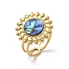 Flat Round 304 Stainless Steel Paua Shell Finger Rings for Women RJEW-G346-08G-01-4