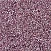 MIYUKI Delica Beads SEED-J020-DB1434-3