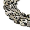 Natural Dalmatian Jasper Beads Strands G-M403-A31-03-4