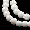 Electroplate Opaque Glass Beads Strands EGLA-K014-A-B01-4