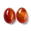 Oval Natural Carnelian Cabochons G-K020-20x15mm-05-2
