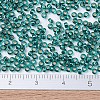 MIYUKI Round Rocailles Beads X-SEED-G007-RR0030-4