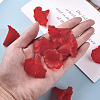 Transparent Acrylic Beads BSF796-C12-7