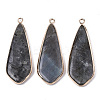 Natural Labradorite Pendants X-G-S359-108A-1