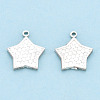 925 Sterling Silver Charms STER-T006-17S-2