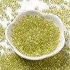 Baking Glass Seed Beads SEED-K009-07A-10-2