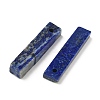 Natural Lapis Lazuli Pendants G-D350-03B-2