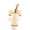 304 Stainless Steel Pendants STAS-M276-A05-2