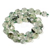 Natural Prehnite Beads Strands G-C116-A19-01-4
