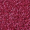 MIYUKI Delica Beads SEED-X0054-DB2154-3