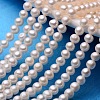 Natural Cultured Freshwater Pearl Beads Strands PEAR-E009-5-5.5mm-1