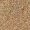 TOHO Round Seed Beads SEED-JPTR11-0629-2