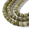 Natural Alashan Agate Beads Strands G-P530-B05-01-4