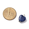 Acrylic Imitation Gemstone Style Pendants PALLOY-JF03511-5