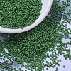 MIYUKI Round Rocailles Beads SEED-X0054-RR0431-1