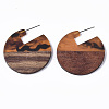 Transparent Resin & Walnut Wood Stud Earrings EJEW-T010-01-2