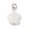 12Pcs 12 Styles Natural Freshwater Shell Big Pendants Set PALLOY-JF02079-2