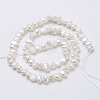 Natural Cultured Freshwater Pearl Beads Strands PEAR-P002-53B-2