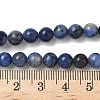 Natural Sodalite Beads Strands X-G-G515-6mm-07-6
