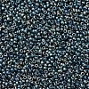 MIYUKI Round Rocailles Beads X-SEED-G007-RR2008-2