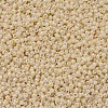 MIYUKI Round Rocailles Beads X-SEED-G007-RR0487-3