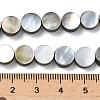 Natural Black Lip Shell Beads Strands BSHE-D300-05-8mm-2