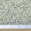 MIYUKI Round Rocailles Beads SEED-G007-RR0491-4