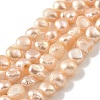 Natural Cultured Freshwater Pearl Beads Strands PEAR-A006-04B-2