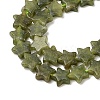 Natural Chinese Jade Beads Strands G-H087-C04-01-4