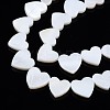 Natural Freshwater Shell Beads Strands X-SHEL-N027-21-3