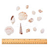 Natural Scallop Shell Beads SSHEL-CJ0001-02-2