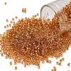TOHO Round Beads X-SEED-TR11-0753-1