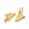 Brass Pendants KK-M273-03G-V-2
