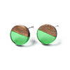Transparent Resin & Walnut Wood Stud Earrings EJEW-N017-008-A02-2